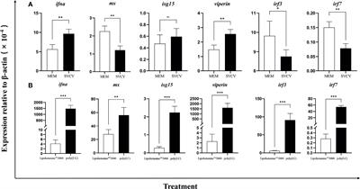 Structural and Functional Analyses of Type I IFNa Shed Light Into Its Interaction With Multiple Receptors in Fish